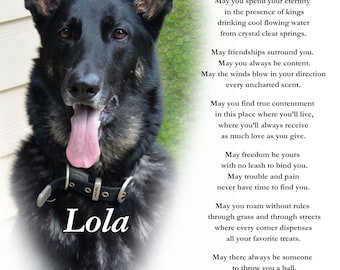 May include: A black and gray German Shepherd dog named Lola with a black collar. The dog is looking at the camera with its tongue sticking out. The image has a poem about a dog's life and the text "Run Forever" at the top.