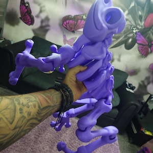 3d printed giant skeleton flexi frog. 2kg. 2.5ft across !