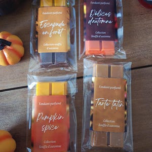 Puede incluir: Cuatro ceras perfumadas en envases transparentes. Cada una tiene una etiqueta con los nombres "Escapade en forêt", "Délices d'automne", "Pumpkin spice" y "Tarte Tatin". Las etiquetas también incluyen "Collection Souffle d'automne".