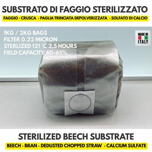 Può includere: Un sacchetto rettangolare di substrato di faggio sterilizzato contenente faggio, crusca, paglia trinciata depolverizzata e solfato di calcio. Il sacchetto in plastica trasparente ha un filtro da 0,22 micron, sterilizzato a 121 gradi Celsius per 2,5 ore, con una capacità di campo del 60-65%.