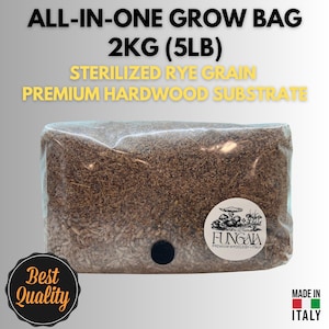 Könnte beinhalten: Ein transparenter Beutel gefüllt mit sterilisiertem Roggenkorn und hochwertigem Hartholzsubstrat. Der Beutel hat einen schwarzen Anschluss und einen Aufkleber mit einer Pilzillustration. Der Text lautet "ALL-IN-ONE GROW BAG 2KG (5LB)".