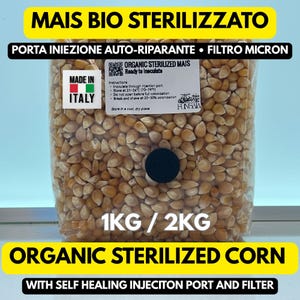 Puede incluir: Una bolsa transparente llena de granos de maíz esterilizados orgánicos. La bolsa tiene un puerto de inyección y filtro autorreparable negro. El texto en la bolsa dice "ORGANIC STERILIZED CORN" y "WITH SELF HEALING INJECTION PORT AND FILTER". La bolsa pesa 1KG / 2KG.