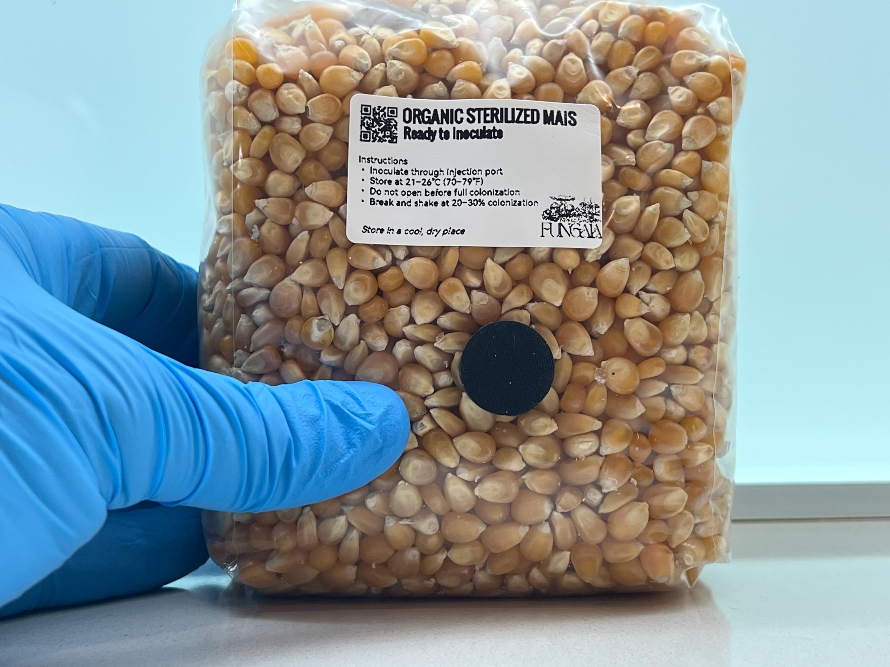Corn Spawn Organic Corn Grain Spawn 1kg Autoclave Sterilized • SHIP Port • Oyster ...