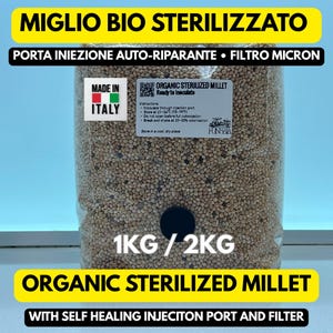 Peut inclure: Un sac transparent rempli de millet stérilisé biologique, avec du texte en italien et en anglais. Le sac comprend un port d'injection auto-cicatrisant et un filtre. Le texte indique que le produit est prêt à être inoculé et fabriqué en Italie. Le sac contient 1KG / 2KG de millet.