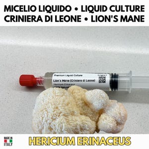 Peut inclure: Gros plan sur un champignon Crinière de Lion et une seringue contenant une culture liquide. La seringue a un bouchon rouge et est étiquetée "Premium Liquid Culture". Le texte "Lion's Mane" et "Hericium Erinaceus" sont également visibles.