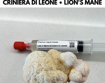 Hericium erinaceus Flüssigkultur 10ml Live Mycelium Lion's Mane Gourmet Mycology