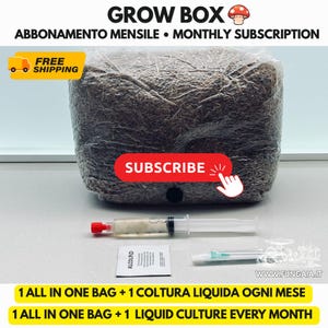 Puede incluir: Un kit de cultivo de hongos que incluye una bolsa de plástico rectangular grande con sustrato marrón, una jeringa de plástico transparente con cultivo líquido, una toallita con alcohol y una aguja para suscripción mensual.