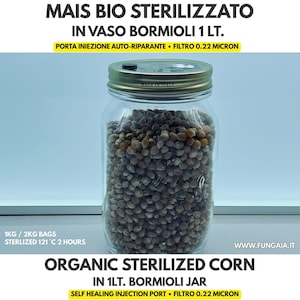 Può includere: Un barattolo in vetro Bormioli da 1 litro riempito con mais bio sterilizzato. Il coperchio in metallo presenta una porta di iniezione auto-riparante nera e un filtro da 0,22 micron. Il testo sull'immagine include: MAIS BIO STERILIZZATO e WWW.FUNGAIA.IT.