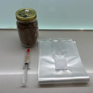 May include: A glass jar filled with brown grains, a clear syringe with a red tip, and two clear plastic bags with a white square are arranged on a light-coloured surface. The jar has a gold lid.