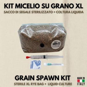 Puede incluir: Un kit de cultivo de grano con una bolsa de centeno XL estéril y cultivo líquido. El kit incluye una bolsa de granos, una jeringa, una aguja y un sobre pequeño. El texto dice "Grain Spawn Kit" y "Made in Italy."