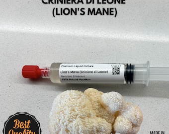 Cultivo líquido de melena de león (10 ml) Micelio de hongo gourmet Hericium erinaceus Suministros de micología