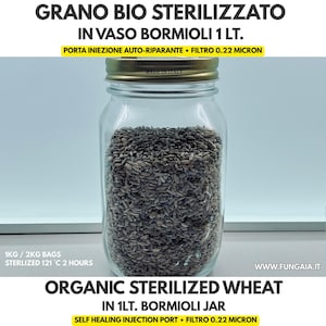 May include: A clear 1-liter Bormioli glass jar filled with organic sterilized wheat. The gold-colored metal lid features a self-healing injection port and a 0.22-micron filter. Text on the image includes "GRANO BIO STERILIZZATO" and "ORGANIC STERILIZED WHEAT".