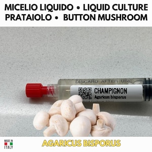 Coltura Liquida Prataiolo 10ml Agaricus Bisporus | Fungo Bianco Gourmet per Coltivazione