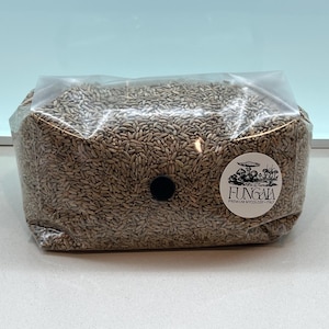 Op de afbeelding: Een transparante plastic zak gevuld met bruine granen. Een zwarte, cirkelvormige poort is zichtbaar aan de voorkant. Een witte sticker met een paddenstoelillustratie en de tekst "FUNGAIA PREMIUM MYCOLOGY ITALY" is op de zak bevestigd.