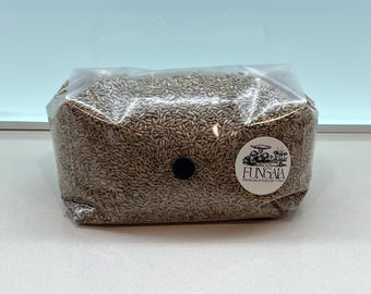 Sterile XL Bio Roggen Körnerbrut Tasche - 2kg Bio Untergrund - Fertig zum Beimpfen