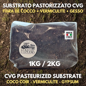 May include: A clear plastic bag filled with dark substrate, labeled "CVG PASTEURIZED SUBSTRATE" and "1KG / 2KG". The bag has a round sticker with a mushroom design and text. The text "MADE IN ITALY" is also visible.