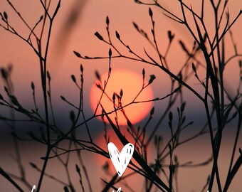 May include: Silhouette of branches against a sunset sky with the text "Live in the moment." and a white heart shape in the center.