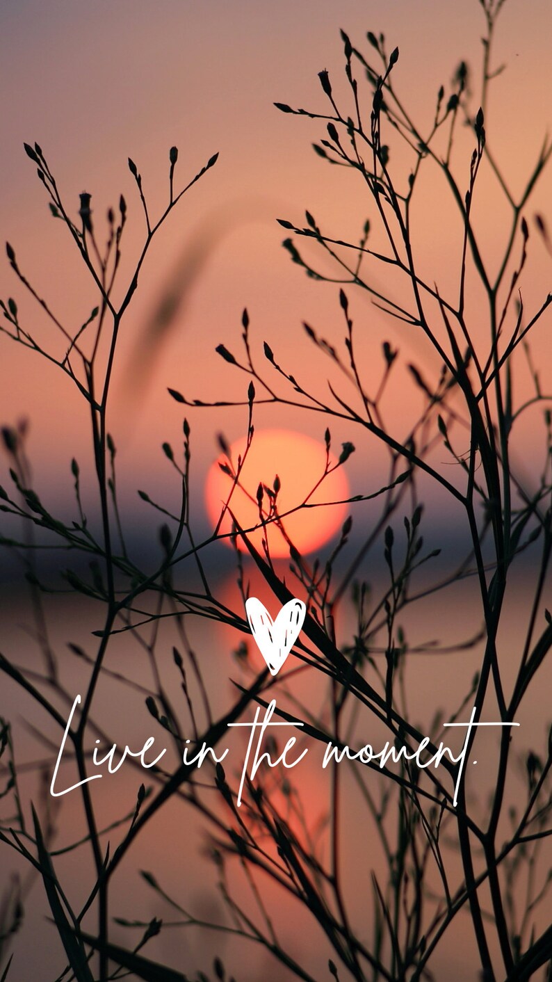 May include: Silhouette of branches against a sunset sky with the text "Live in the moment." and a white heart shape in the centre.
