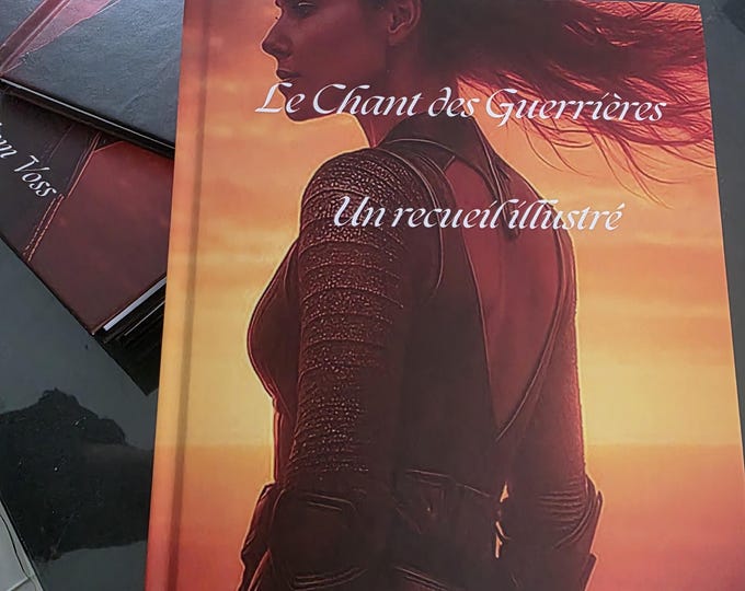 The Song of the Warriors – an illustrated collection – A poetic and introspective art book by Bloom Voss