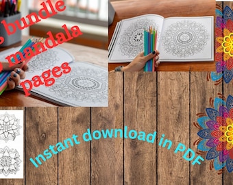 Op de afbeelding: Een grote bundel met 40 mandala kleurplaten in PDF-formaat. De afbeelding toont een hand die kleurpotloden vasthoudt, een boek met mandala kleurplaten en verschillende voorbeelden van voltooide mandala's.