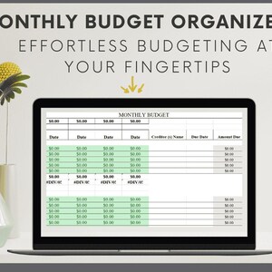 Monthly Budget Organizer - Excel Template