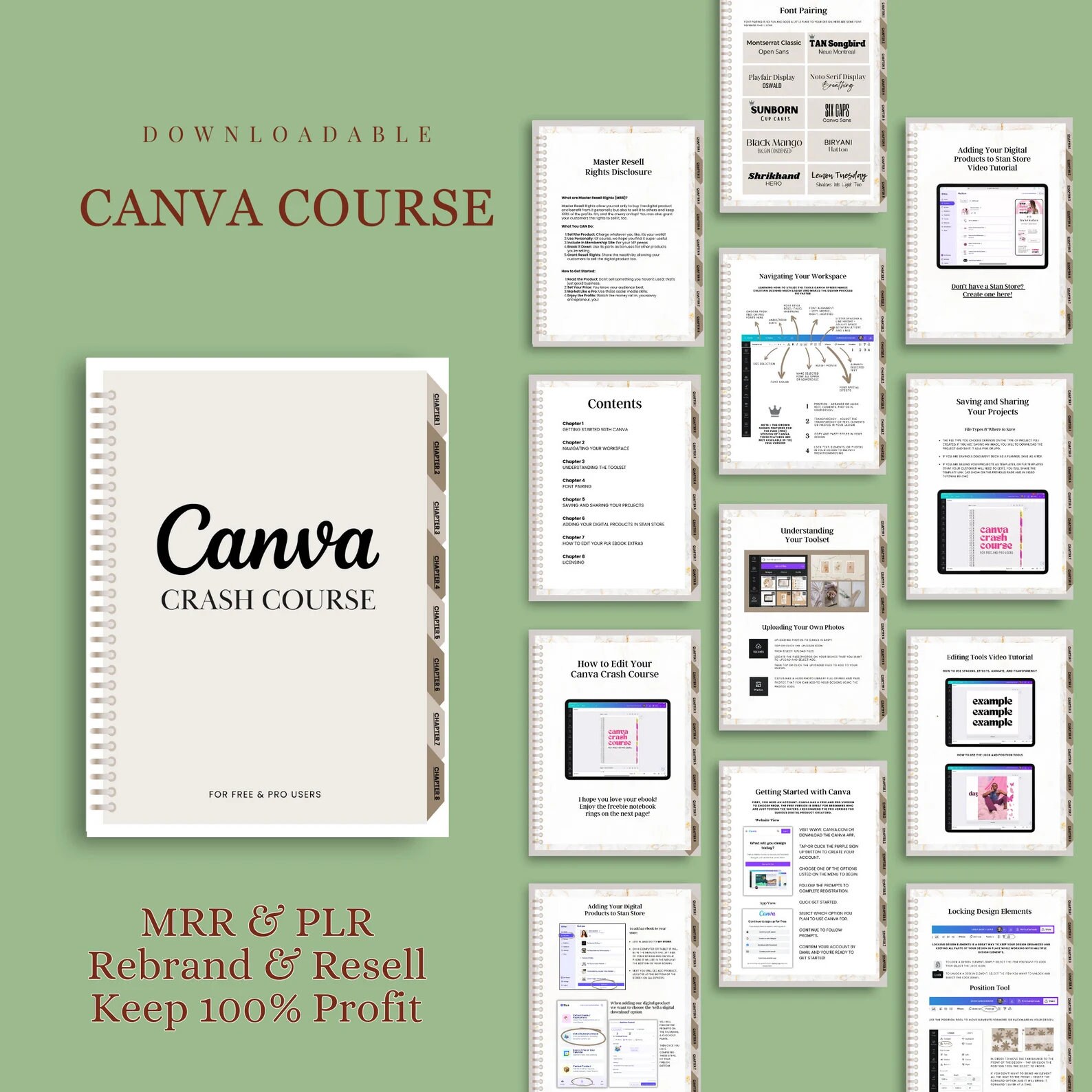 Canva Crash Course Printable Master Resell Rights MRR With Private ...