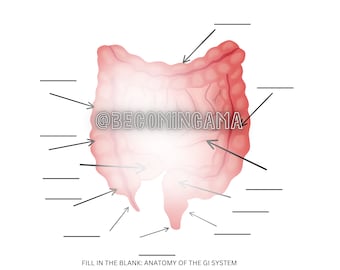 Medical Assistant Study Guide | Learn Anatomy | CMA | RMA | NHA | Fill in the blank