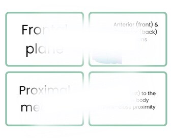 Body plane flashcards CCMA