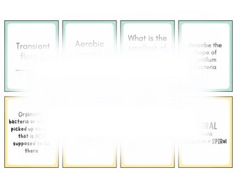 Infection Control Flashcards for CCMA, NHA Exam Prep | Medical Assistant Study Guide | Healthcare Certification Review