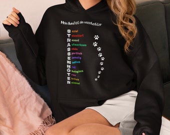 Hoodie mit lustigem Spruch "Mein Hund ist ein waschechter Strassenköter", Pullover, Geschenk für Hundefreunde, lustiger Pulli, Tierschutz