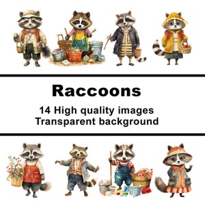 Wasbeer cartoon afbeelding prints, 14 kinderkamer clip arts, PNG digitale downloads, transparante achtergrond, commercieel gebruik
