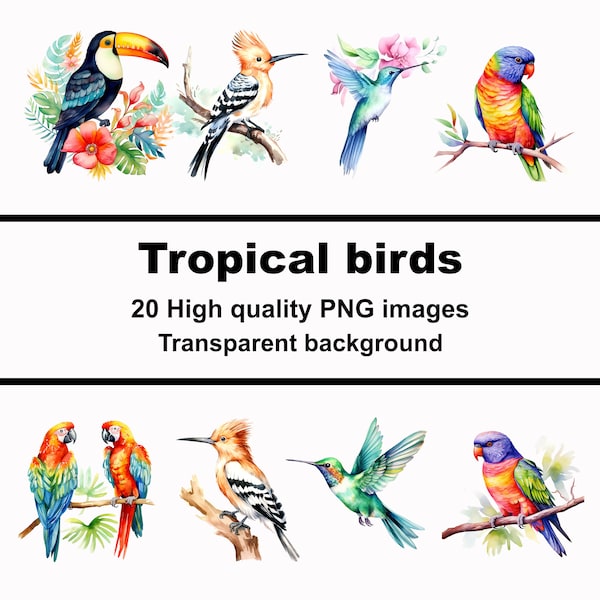 Tropical birds, 20 variety birds digital clip art, toucan, macaw, hummingbirds and others, PNG transparent background, commercial use