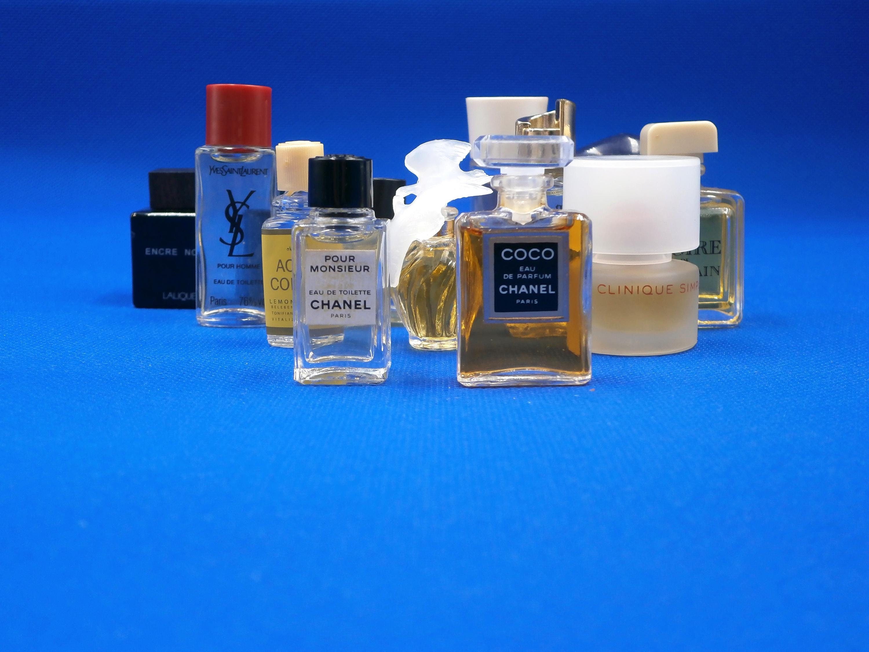 Antaeus Chanel - Etsy