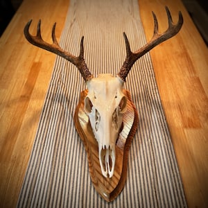 European Deer Mount Plaque