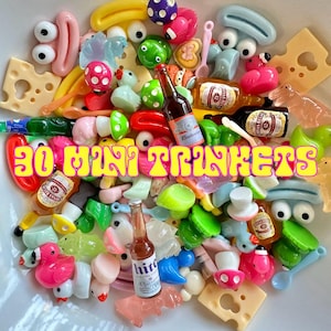 May include: A collection of 30 mini trinkets, including miniature bottles of beer, colorful plastic toys, and small food items. The trinkets are arranged in a bowl and include a variety of colors and shapes.