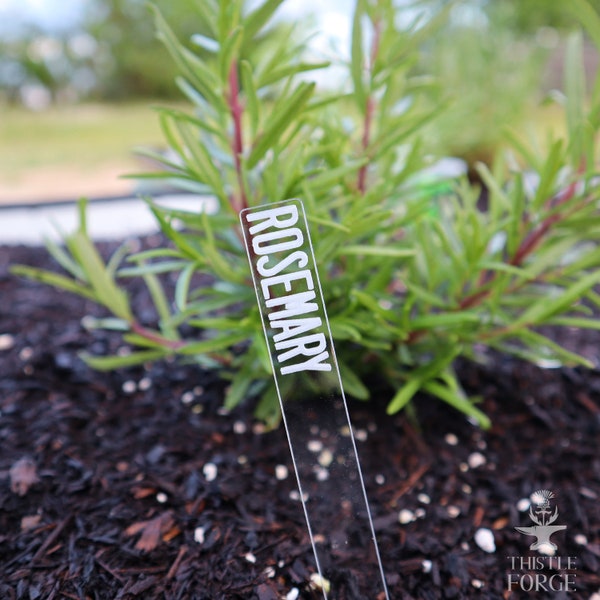 Acrylic Custom Plant Marker, Vegetable Garden Stakes, Personalized, Acrylic Stake, Modern Garden Plant Marker, Container Garden, Raised Bed