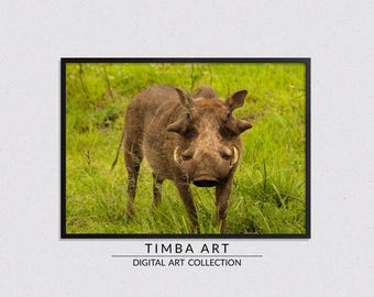 South-Africa Wild Boar, Photo Art, Wall Decor