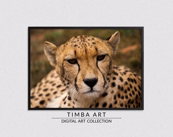 South-Africa Cheetah, Photo Art, Wall Decor, Big Five