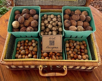 Nut Sampler | Small & Large l Hazelnuts | Wild Black Walnuts | Wild Hickories | New Jersey | Harvested 2023 | No Pesticides | Gift Basket