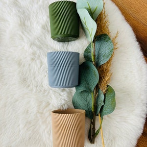 Egg cups in a set of 4