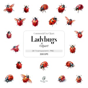 Nyckelpigor, Akvarell, Kompositioner, Kommersiellt Bruk, Mall Clipart