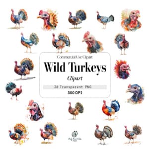 Watercolor Wild Turkeys, Watercolor, Compositions, Commercial Use, Template Clipart