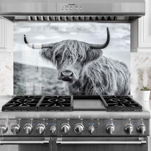 Scottish Highland Cow Tempered Glass Stove Backsplash: Heat Resistant Cooker Wall Art