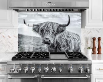 Protector de pared de cocina de vidrio templado con diseño de vaca de las Tierras Altas escocesas: Arte de pared de cocina resistente al calor