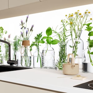 植物柄強化ガラス製キッチンバックスプラッシュ：スパイスハーブ柄、耐熱性