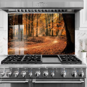 Tempered Glass Kitchen Backsplash: Heat Resistant Stove Splashback