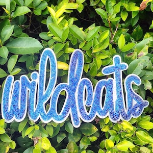May include: A blue and white sign that reads "wildcats" in a cursive font. The letters are filled with small blue dots, and the sign is set against a backdrop of green leaves.