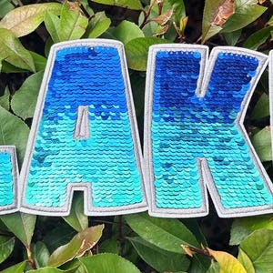 May include: The word "LAKE" spelled out in individual patches. Each letter is filled with blue and teal sequins, with a gradient effect. The letters have a gray border and are set against a background of green leaves.