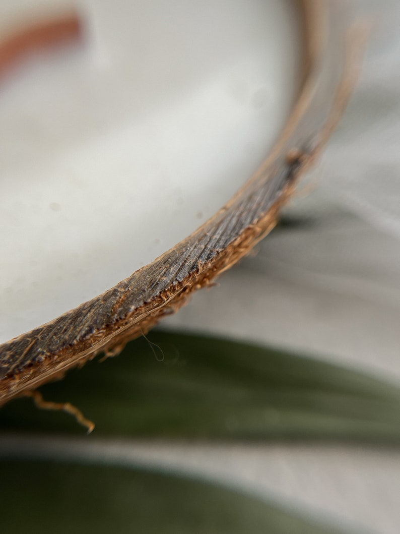 Handmade Coconut Shell Wood Wick Scented Candle With Natural Aroma Oils