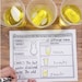 Easter Activities - Spring Marshmallow Science - Etsy